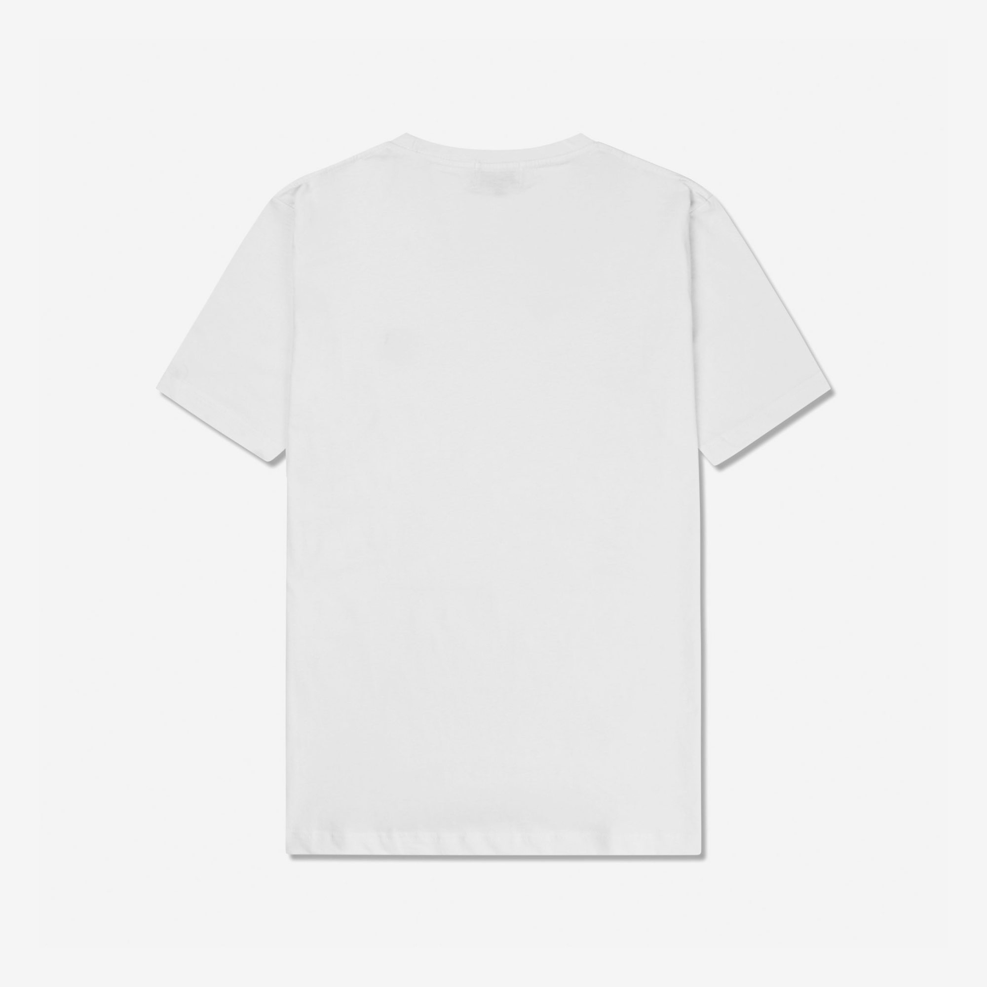 Teddy Tee White - Tonsure